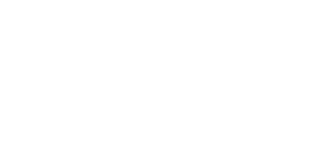 Tesla panels